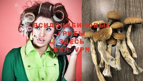 прущая мука Вязьма