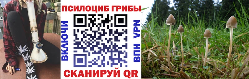 Псилоцибиновые грибы прущие грибы  Купить закладки  Кудымкар 
